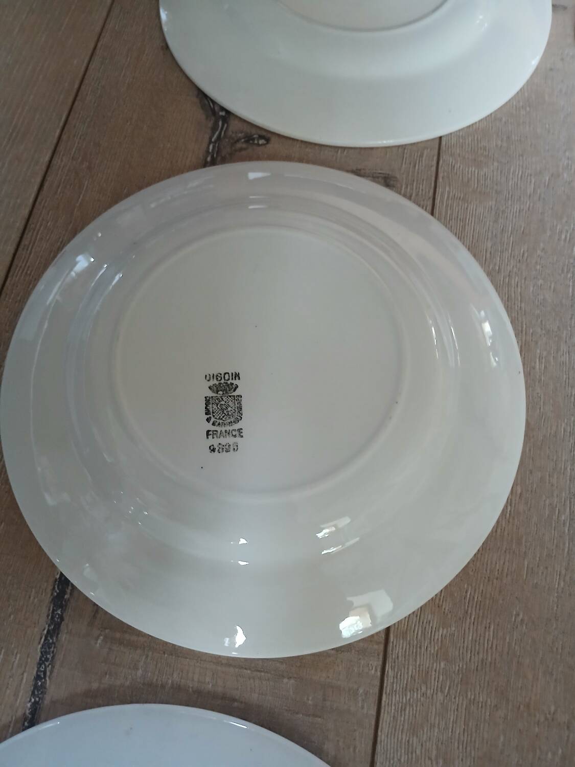 6 old Digoin and Sarreguemines dinner plates