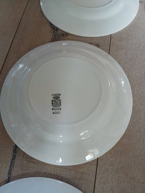 6 assiettes plates anciennes Digoin et Sarreguemines