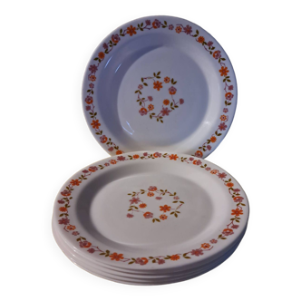 Assiettes plates Arcopal Scania