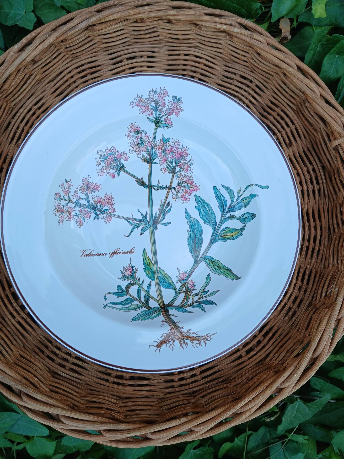 Assiette creuse Villeroy et Boch