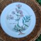 Assiette creuse Villeroy et Boch