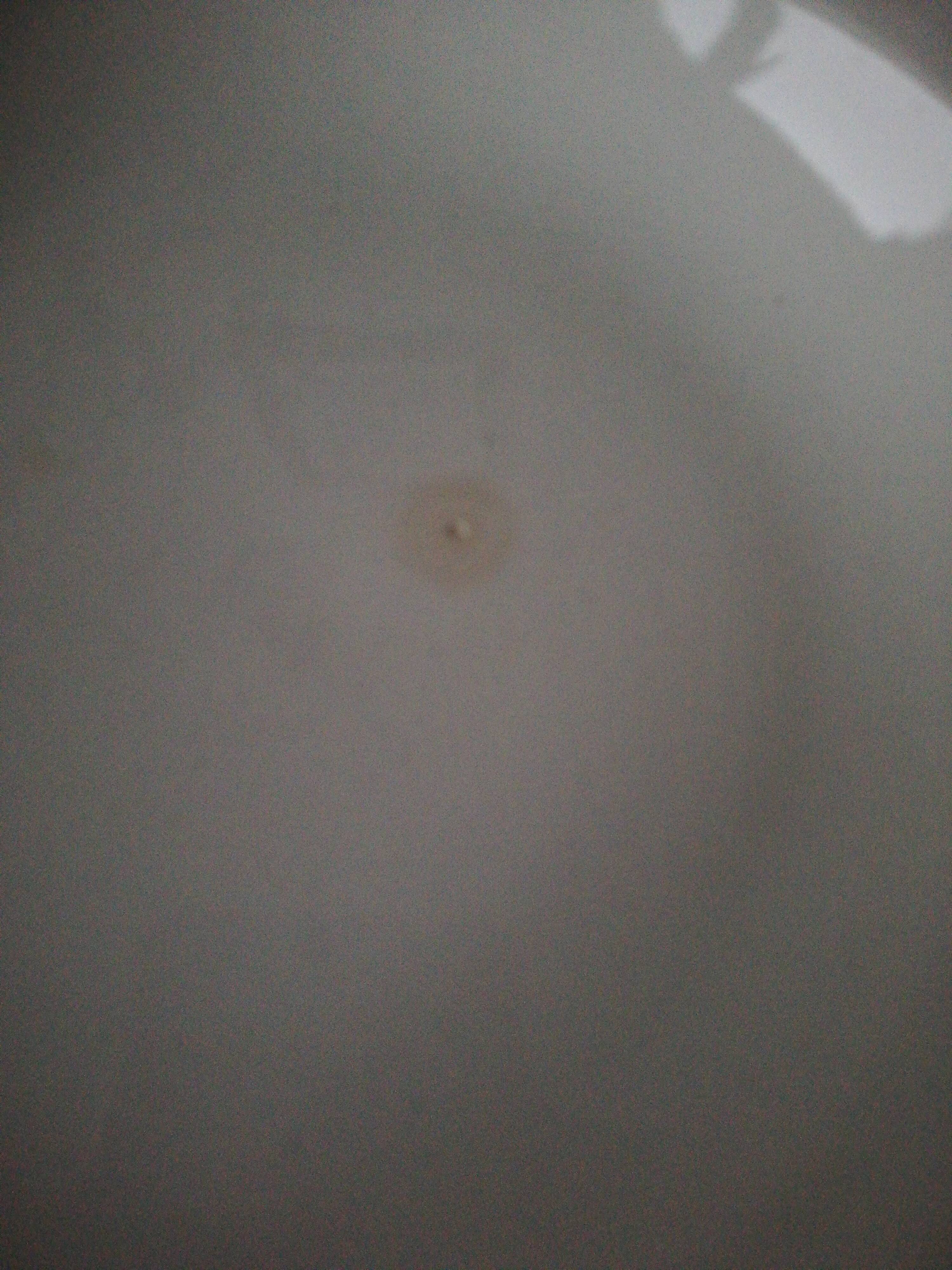 5 plates salins les bains