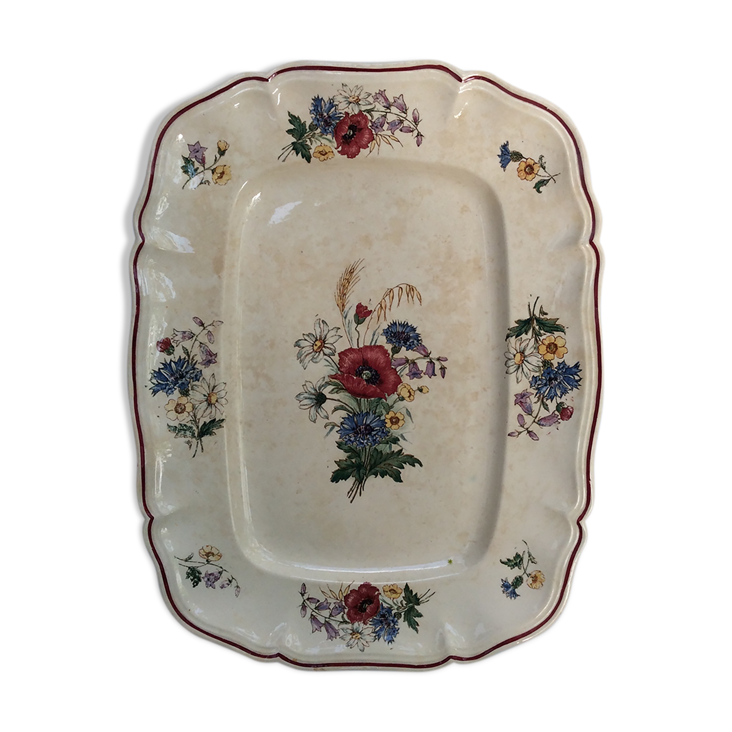 Former dish collection Agreste digoin Sarreguemines in rectangular earthenware dimension: L-39- Pr-30