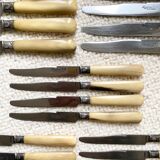 Series of horn knives