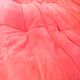2 seater sofa by Michel Ducaroy for Roset Line