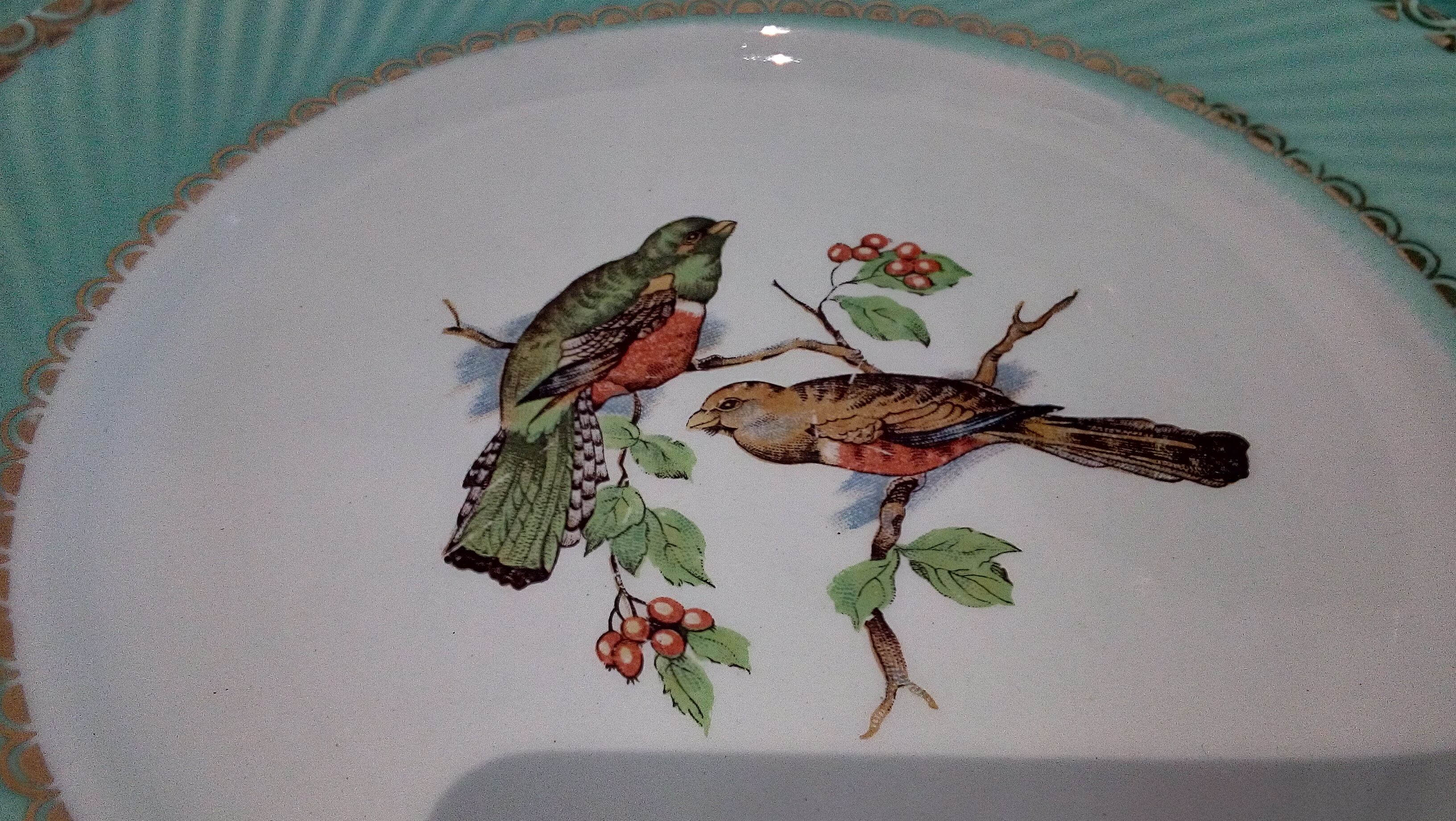 Flat plates water green birds