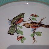 Flat plates water green birds