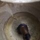 "BEAUTIFUL HALOGEN WALL LIGHT IN GILDED BRONZE IN THE LOUIS XVI STYLE" by "Lucien Gau"