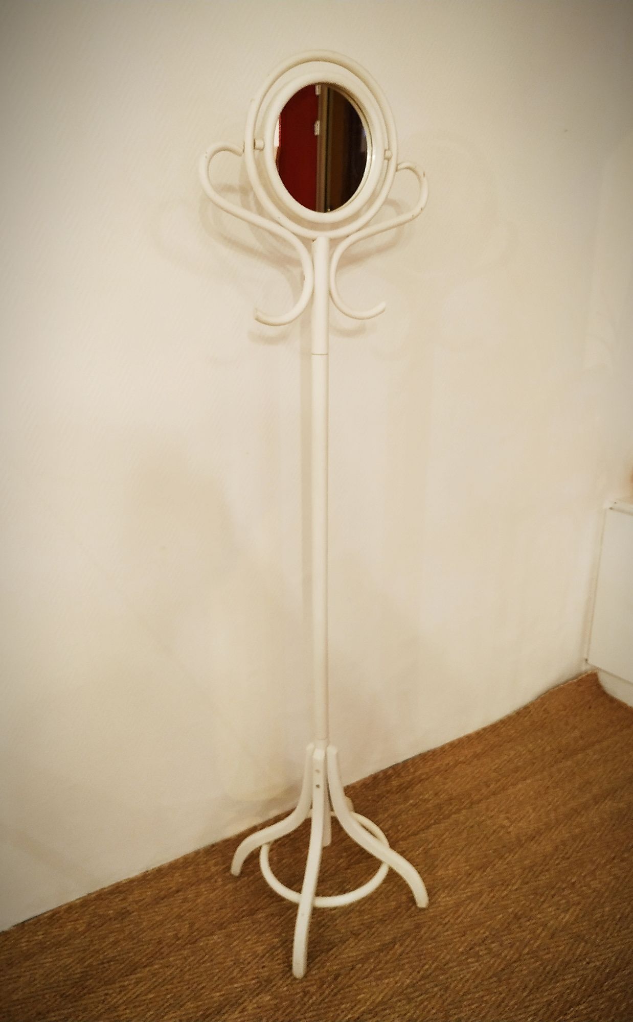 Psyche mirror parrot in curved wood