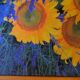 Photo under glass wooden frame, "sunflower and lavender"