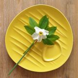 Duo plates with asparagus