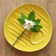 Duo plates with asparagus