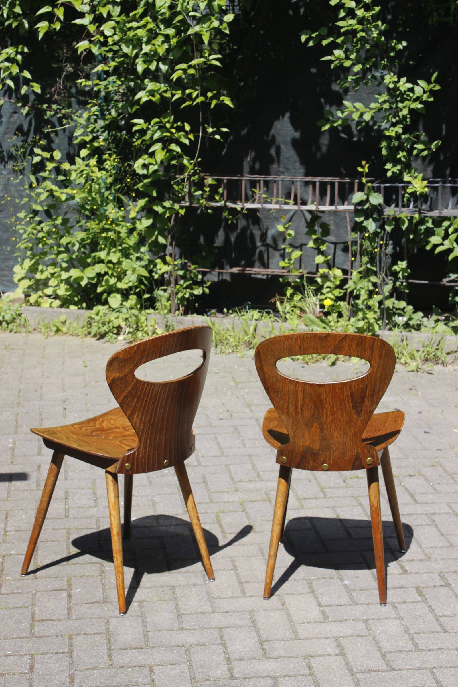 Pair of "Fourmi" bistro chairs Baumann France 1960s