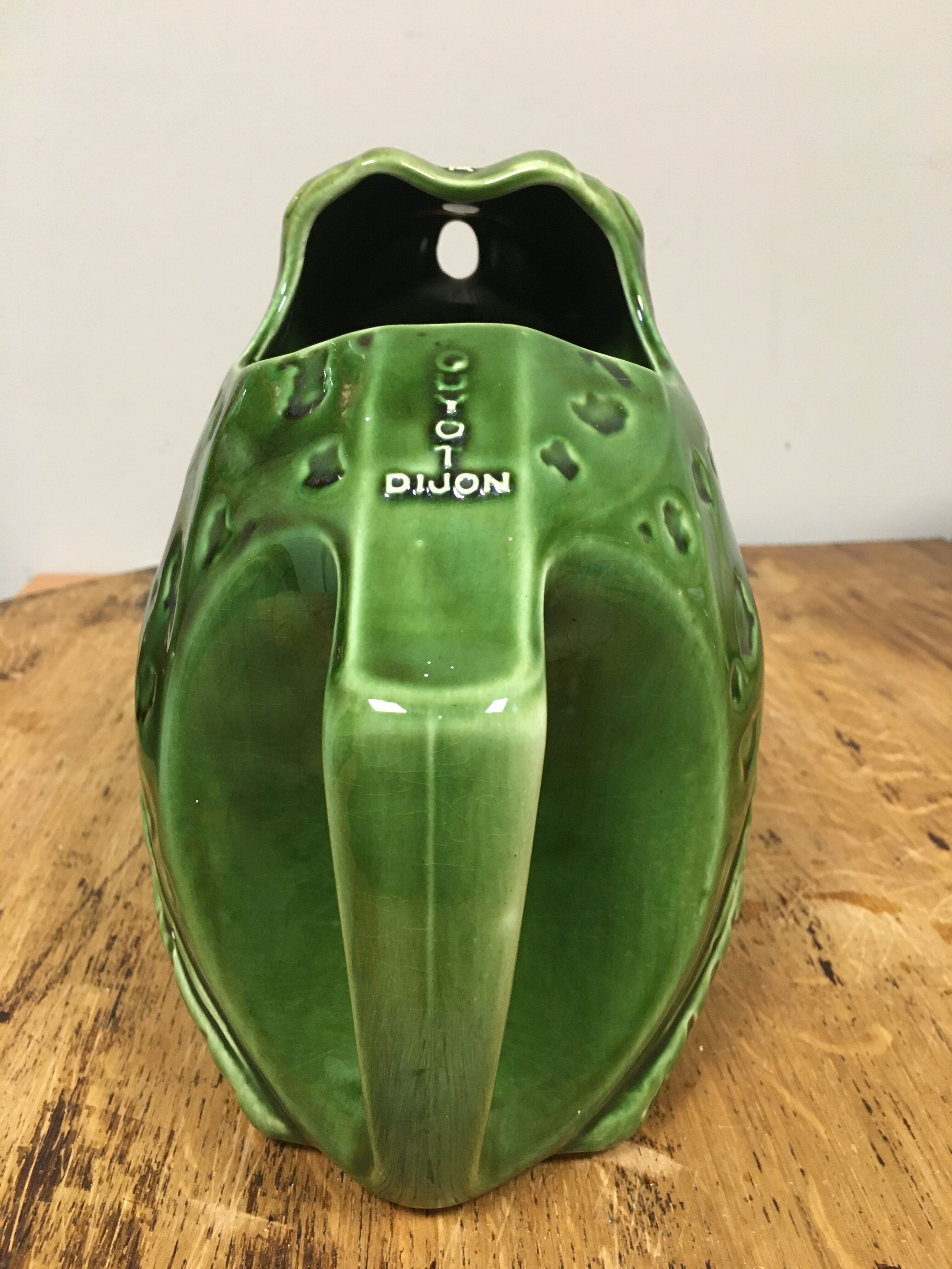 Pitcher frog the heir guyot