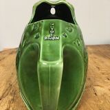 Pitcher frog the heir guyot