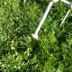 Vintage garden chairs