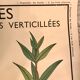 Displays educational fruit / leaves - Nightingale
