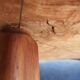 Table basse en loupe d'orme