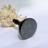Old Murex Ramosus shell on turned wooden base Napoleon III 19th century cabinet of curiosities