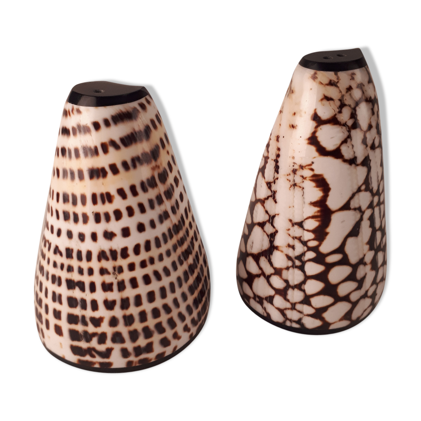 salt salt shaker sea shell real vintage nature curiosity