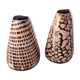 salt salt shaker sea shell real vintage nature curiosity