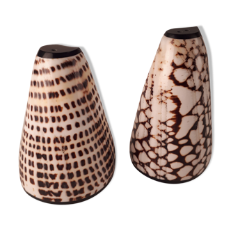 salt salt shaker sea shell real vintage nature curiosity