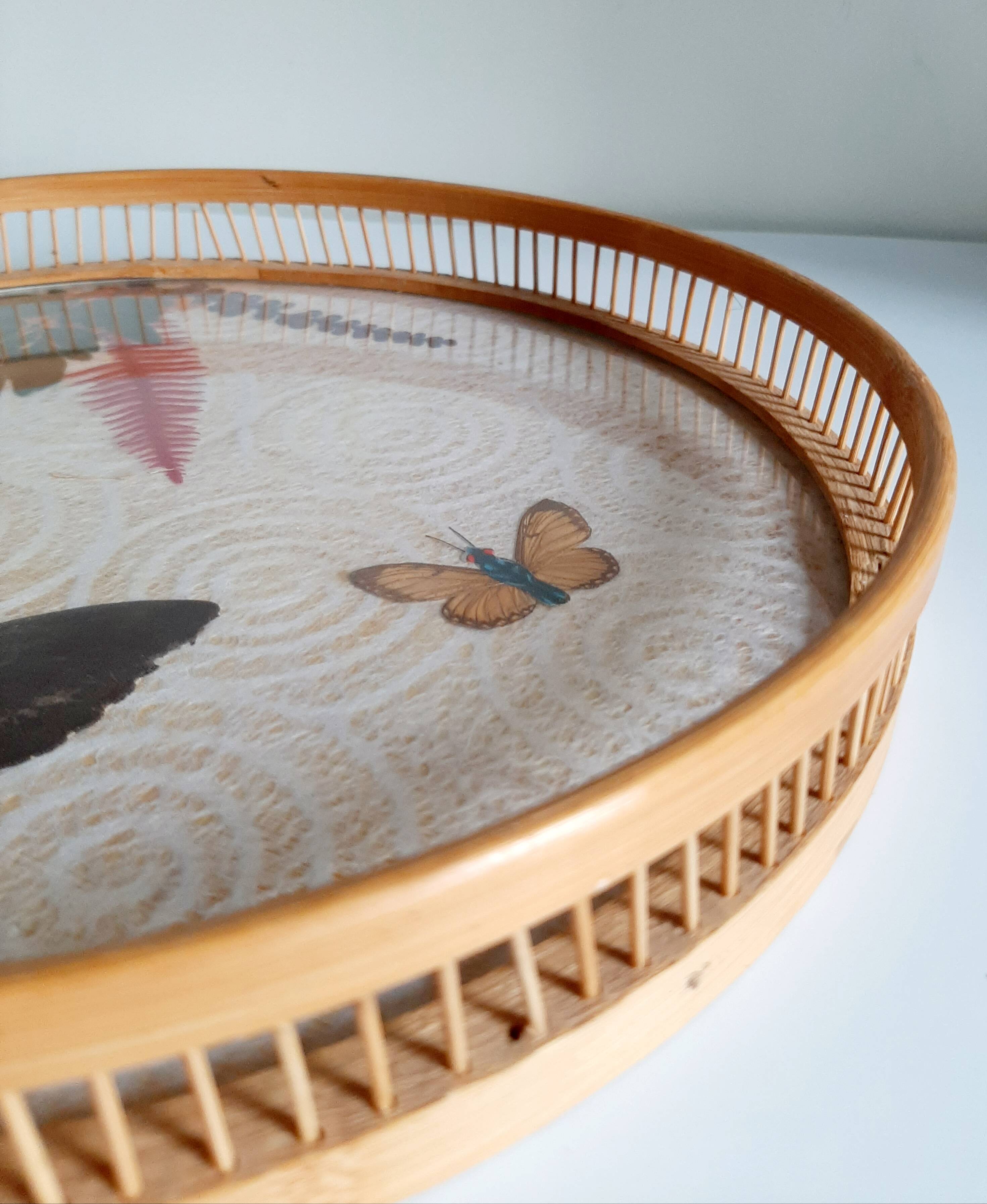 Butterfly tray and 6 coasters