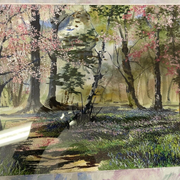 Watercolor ann dunbar "spring orchard" 30x40 cm