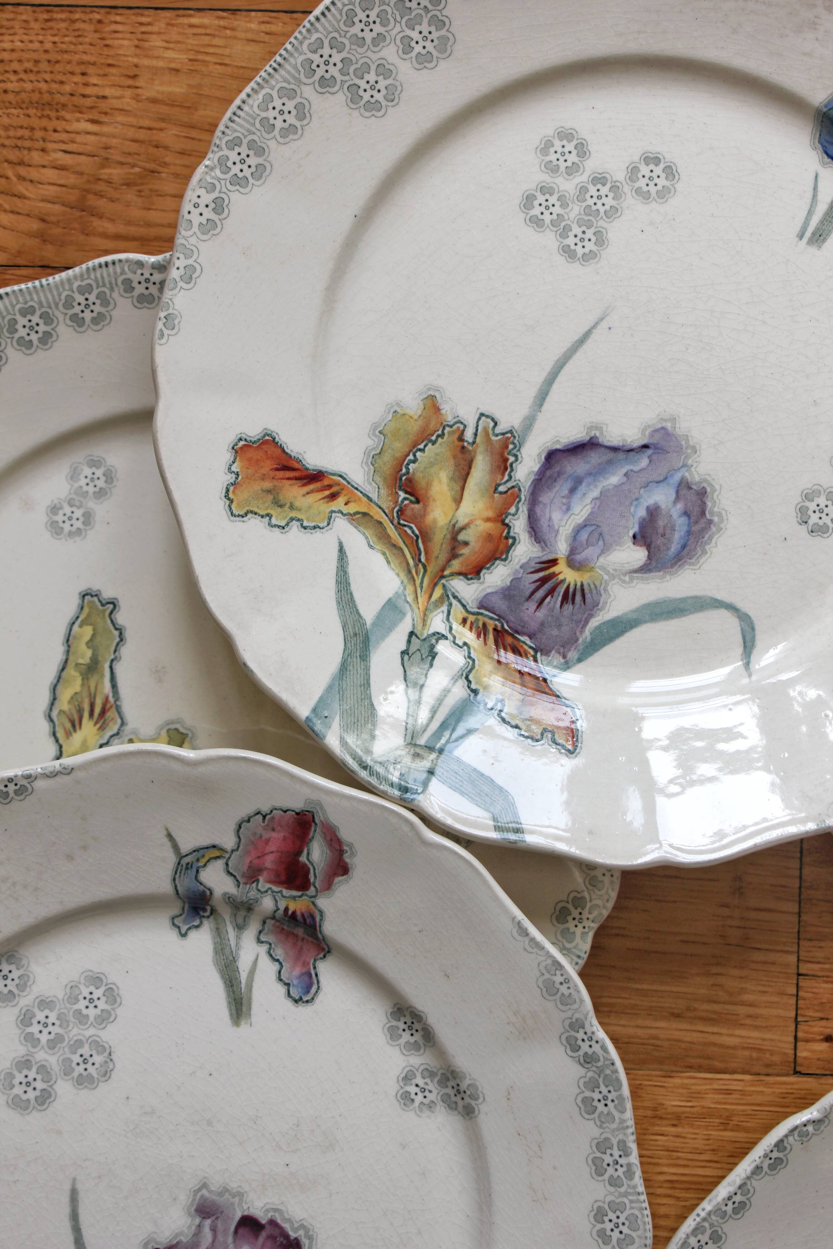 6 large flat plates in polychrome iron earth model "Iris" Choisy-le-Roi