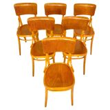 Mid Century Modern Dining Room Zebra Wood Chairs, set of six, Italy 1950s