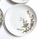 Lot de 6 assiettes à dessert de Bavière mobil décor fleurs roses