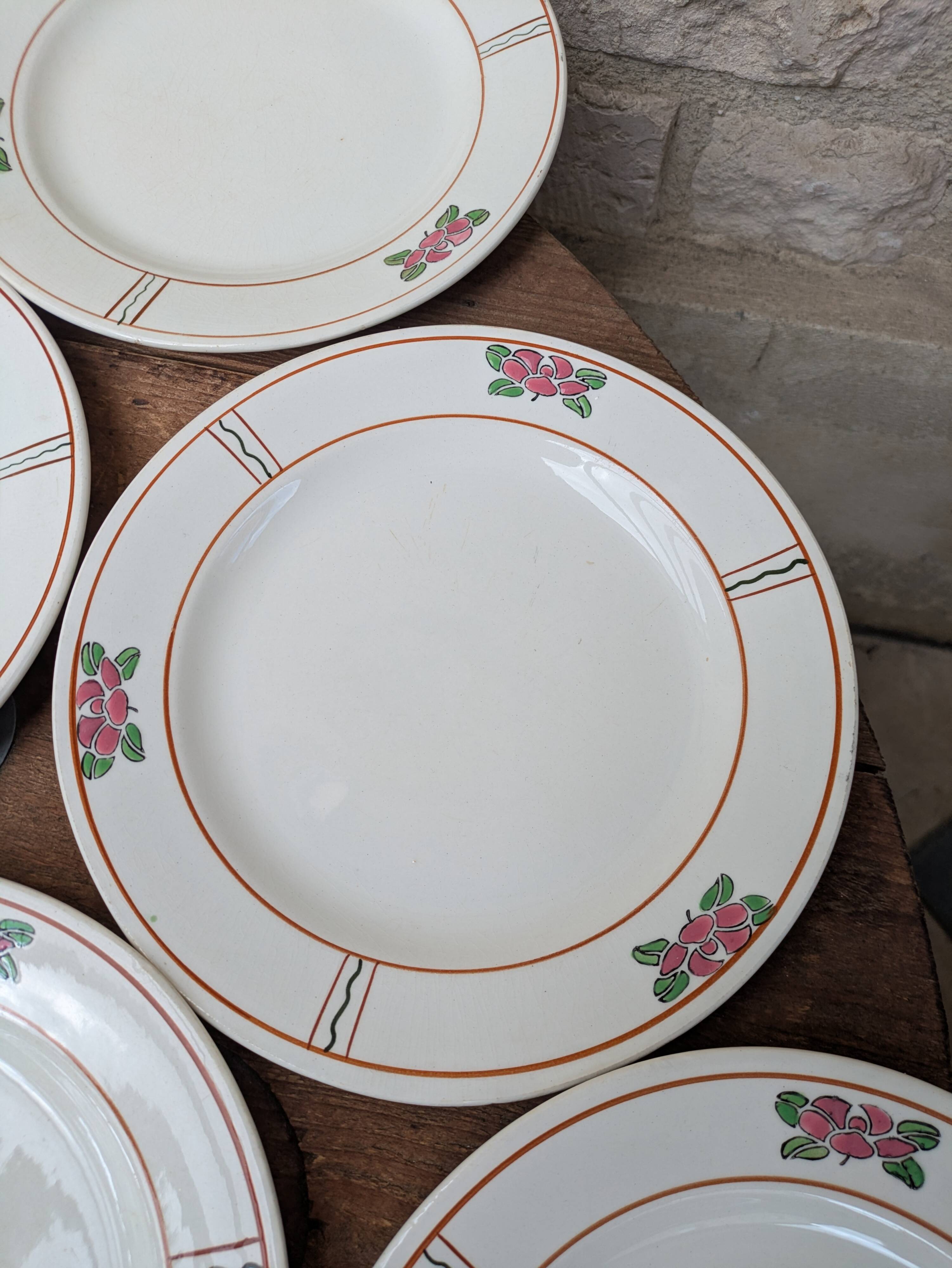 9 old flat plates in Salins ironstone model Nénuphar 24.5cm