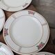 9 old flat plates in Salins ironstone model Nénuphar 24.5cm