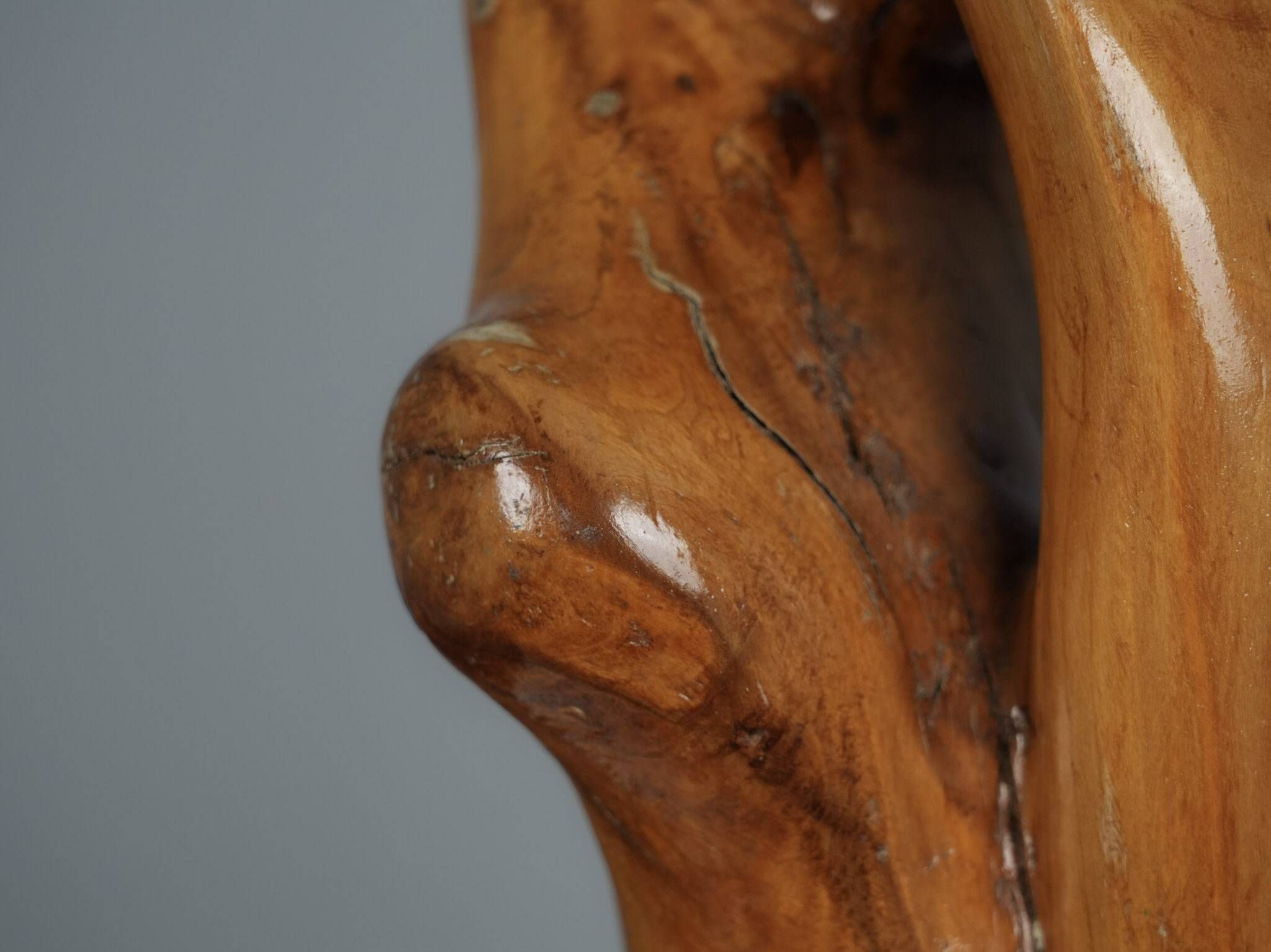 Organic wood sculpture by H. Hinfelaar, Netherlands, 1980s