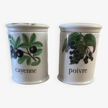 2 pots à épices porcelaine de Paris à motifs de fruits poivre Cayenne