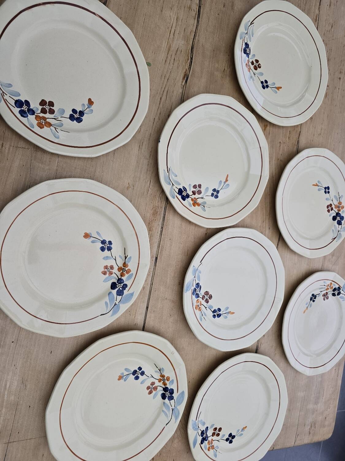 9 Sarreguemines plates model 5041