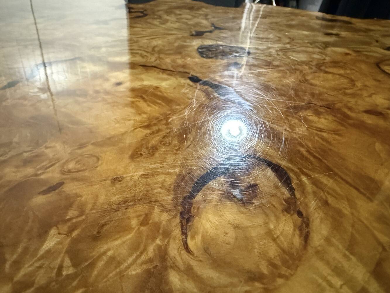 Large tree trunk coffee table by Frank Armich Canada