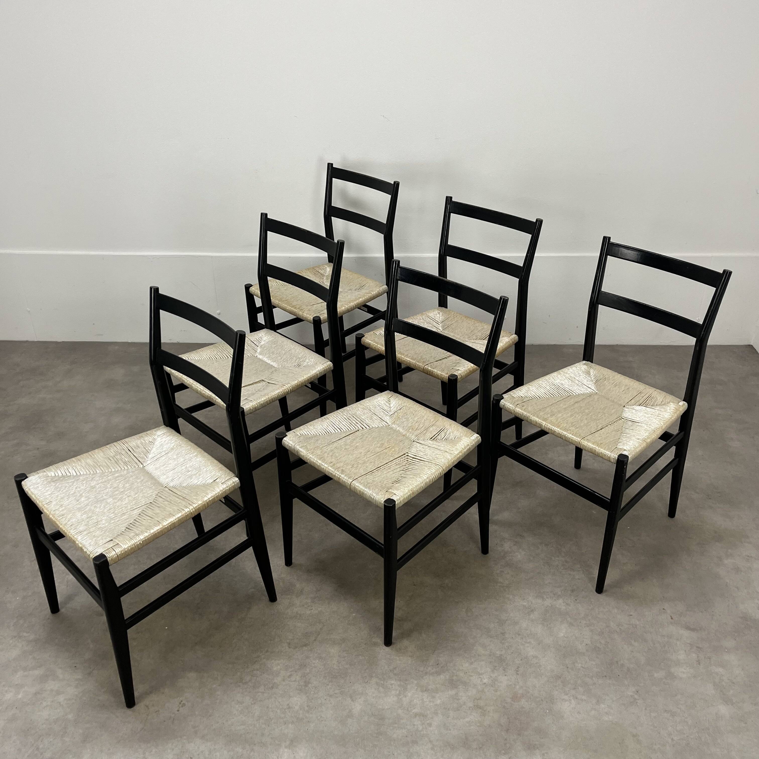 6 Leggera chairs by Gio Ponti for Cassina, Italy, first edition