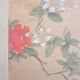 Ancient Chinese painting - Butterfly and flowers