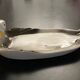 1 duck-shaped ceramic foie gras dish