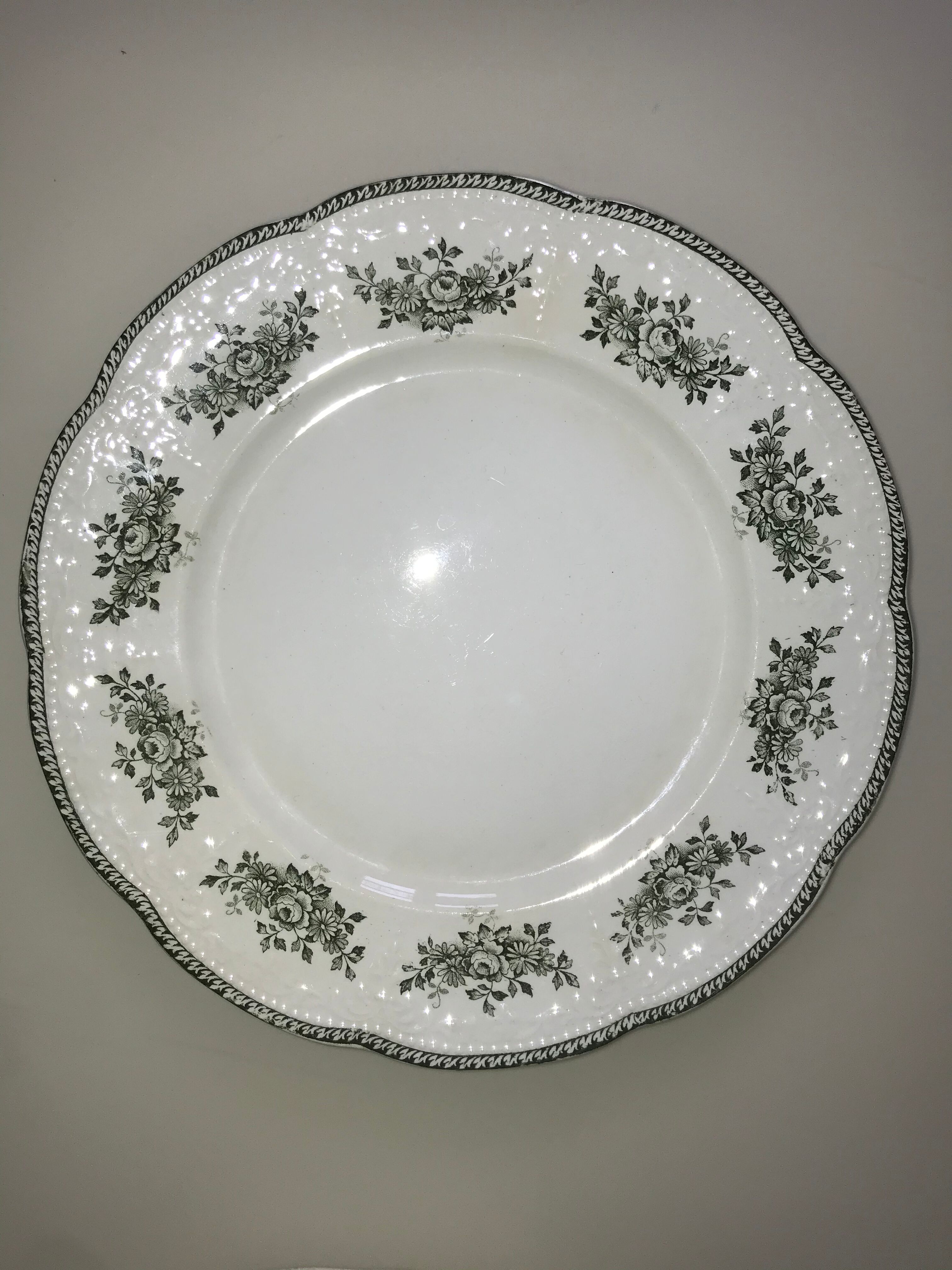 6 plates in Terre de Fer Badonviller Model Richelieu