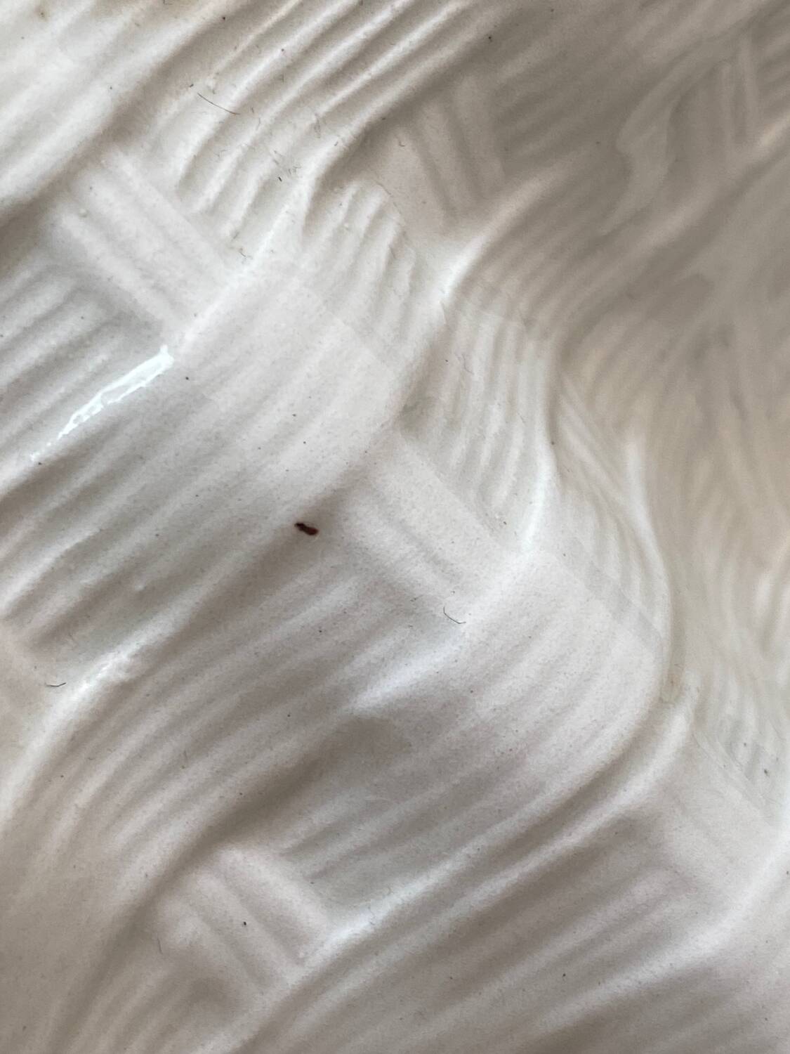 Ceramic compartmentalized leaf appetizer dish