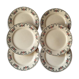 Six dinner plates Earth iron Choisy the King