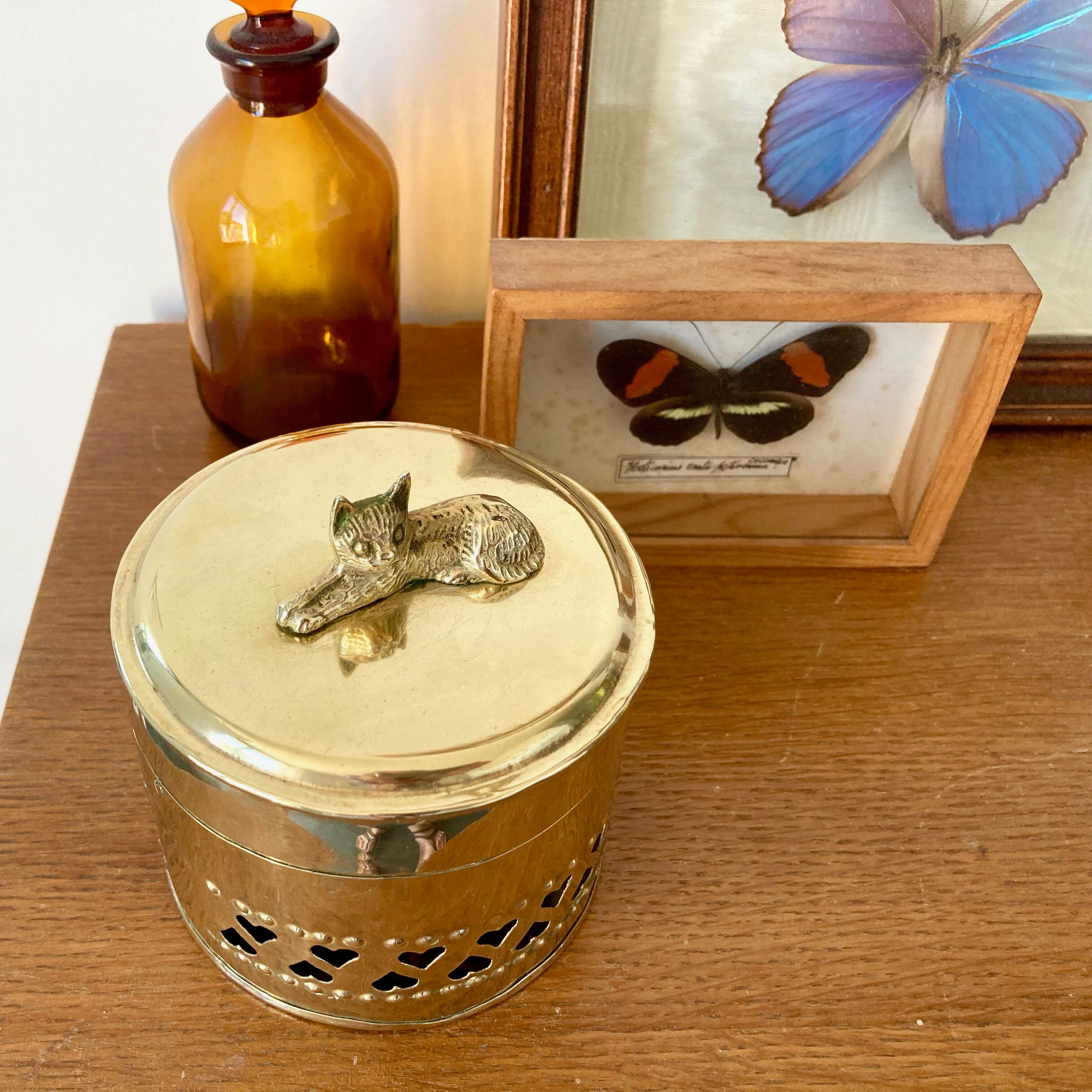 Cat brass box