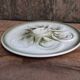 Vintage French oyster plate in white and green majolica.