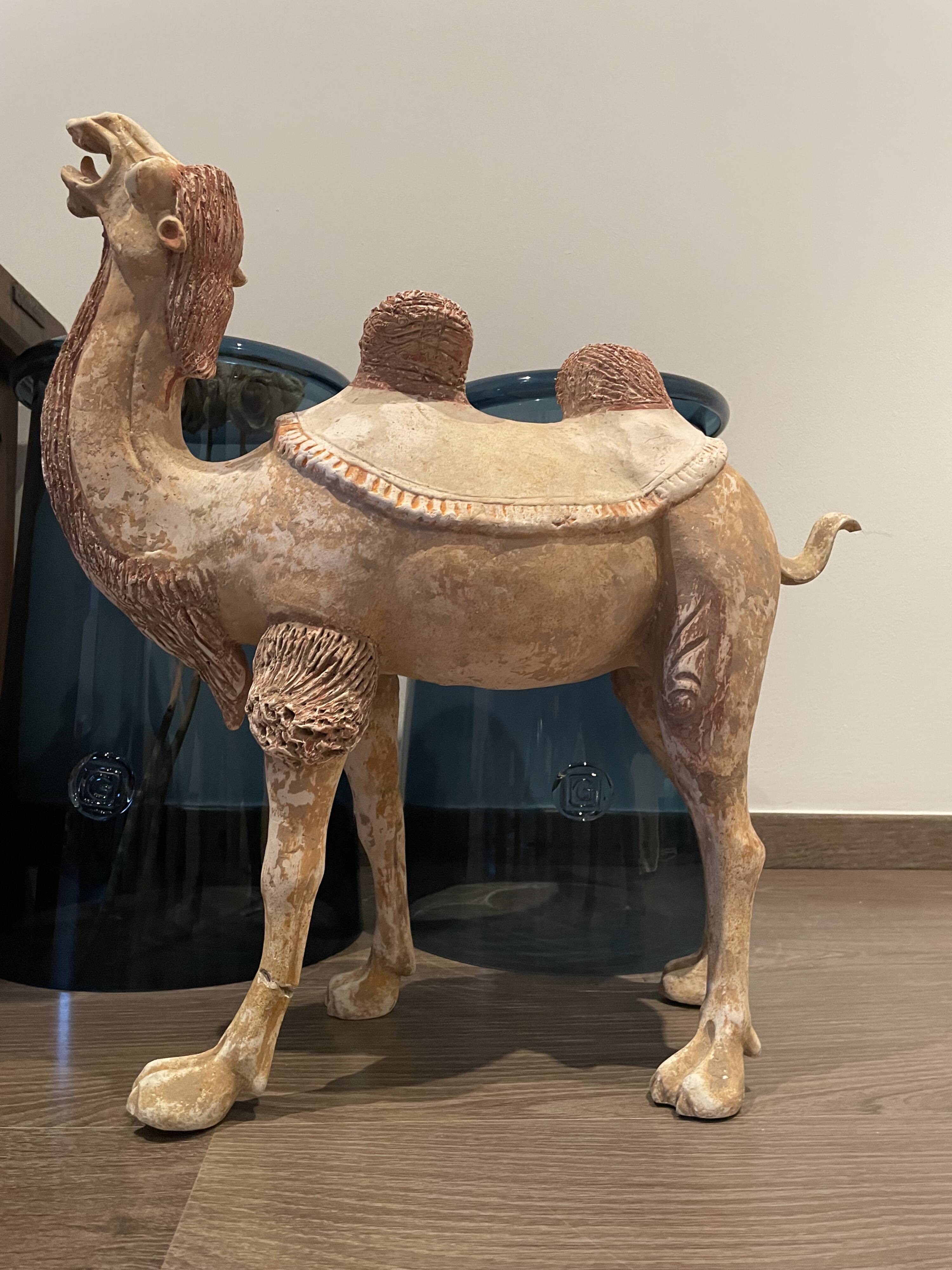 Large camel with traces of polychromy.