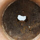 Ancient Medici vase in cast iron