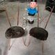 Pair of golden metal chairs, Maison Jansen style, 1970s.