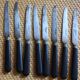 A set of 8 knives with black wooden handles and bolsters.