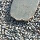 Old pair of boat oars